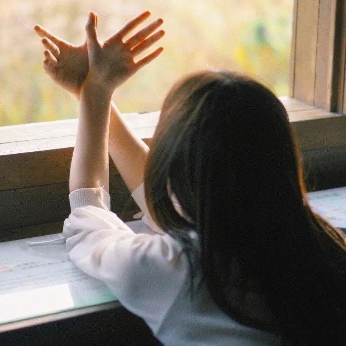 功夫机器侠之南拳