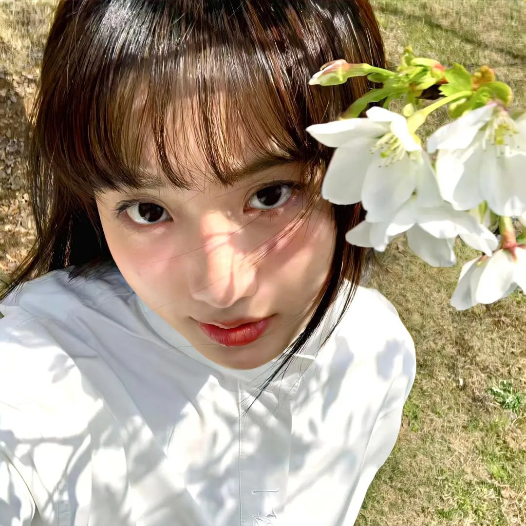 超级无敌掌门狗：月球野餐记